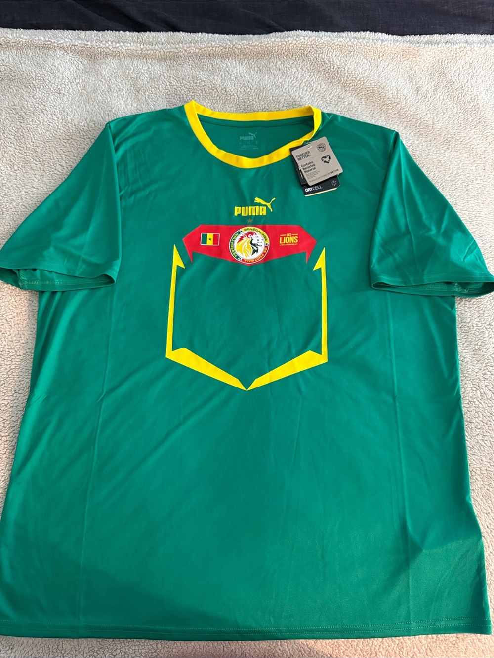 Senegal 🇸🇳 2022 FIFA World Cup Edition Puma Away Jersey